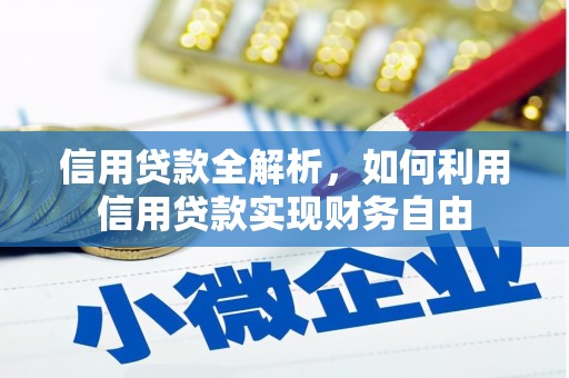 水上信用贷款全解析，如何利用信用贷款实现财务自由