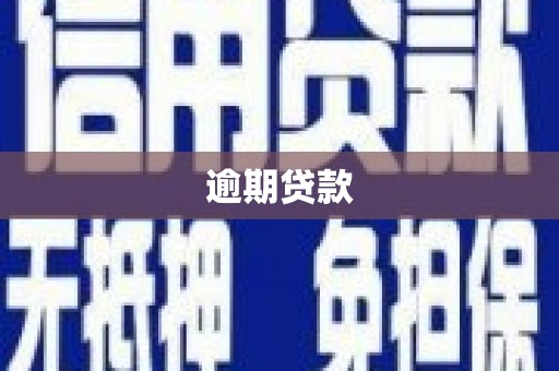 水上逾期贷款